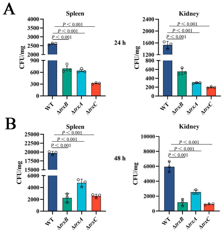 https://cdn.ncbi.nlm.nih.gov/pmc/blobs/c40c/10145099/1da0ecbf81b7/microorganisms-11-00827-g006.jpg
