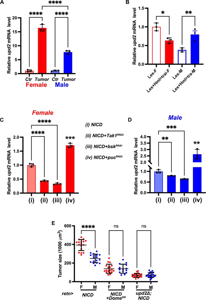 https://cdn.ncbi.nlm.nih.gov/pmc/blobs/c40e/11623276/20376922bbd8/sciadv.ads4229-f4.jpg
