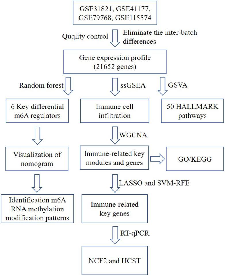 https://cdn.ncbi.nlm.nih.gov/pmc/blobs/c410/10042702/f1114d4c9c4f/aging-15-204537-g001.jpg