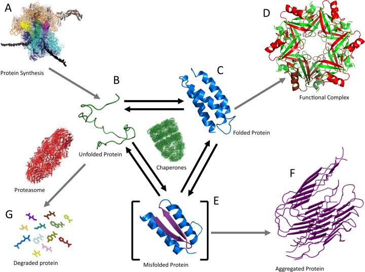 https://cdn.ncbi.nlm.nih.gov/pmc/blobs/c411/5003694/be8424961933/bj4732545fig1.jpg