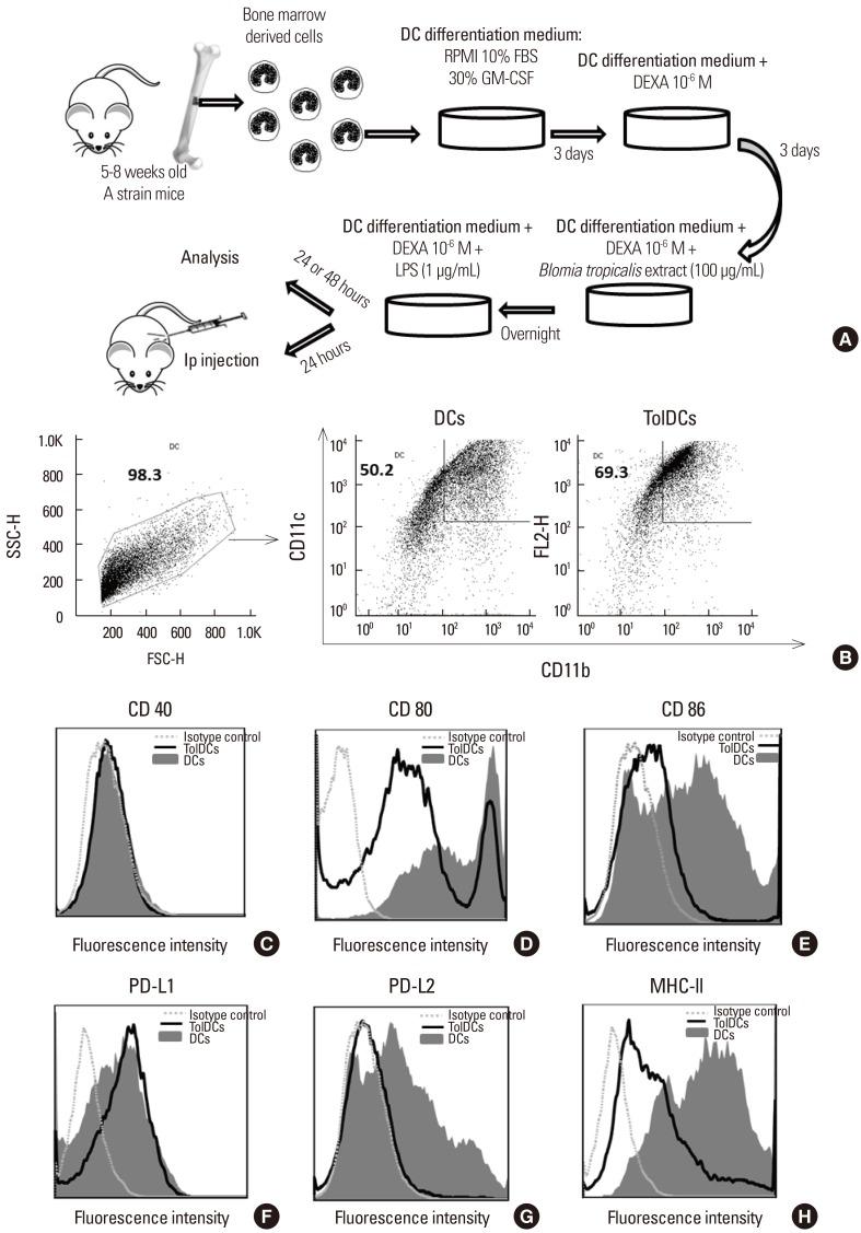 https://cdn.ncbi.nlm.nih.gov/pmc/blobs/c412/6021587/d6d811b2b47c/aair-10-406-g001.jpg