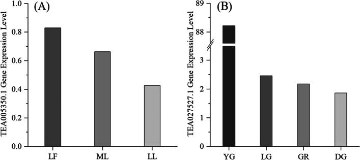 https://cdn.ncbi.nlm.nih.gov/pmc/blobs/c413/10091845/16e4204edbb9/12870_2023_4192_Fig6_HTML.jpg