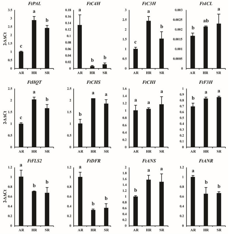 https://cdn.ncbi.nlm.nih.gov/pmc/blobs/c413/8747410/c36a2cacba97/plants-11-00090-g003.jpg