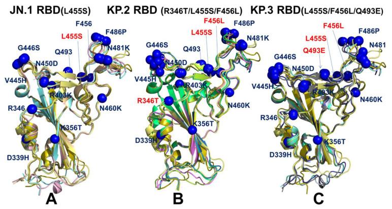 https://cdn.ncbi.nlm.nih.gov/pmc/blobs/c414/11437503/9c2098aaf8d4/viruses-16-01458-g006.jpg