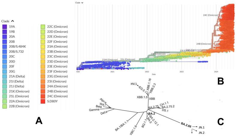 https://cdn.ncbi.nlm.nih.gov/pmc/blobs/c414/11437503/a22f0071d33e/viruses-16-01458-g003.jpg