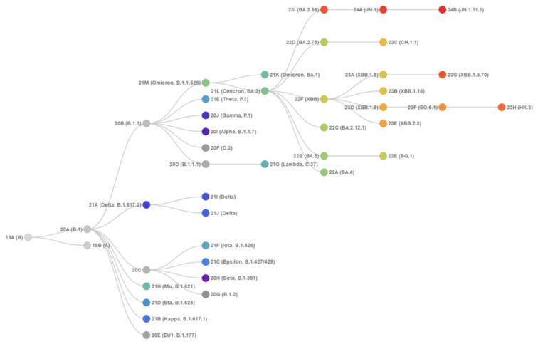 https://cdn.ncbi.nlm.nih.gov/pmc/blobs/c414/11437503/dd52908adffc/viruses-16-01458-g002.jpg