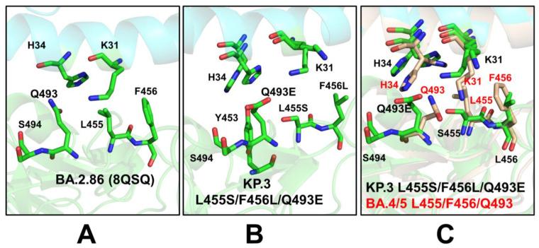 https://cdn.ncbi.nlm.nih.gov/pmc/blobs/c414/11437503/dfd98480708b/viruses-16-01458-g007.jpg