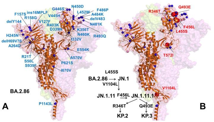 https://cdn.ncbi.nlm.nih.gov/pmc/blobs/c414/11437503/f133fa961d19/viruses-16-01458-g001.jpg