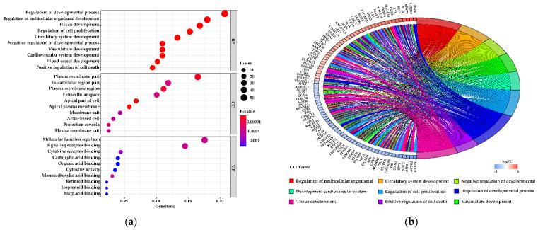 https://cdn.ncbi.nlm.nih.gov/pmc/blobs/c414/8235497/76ba99d222d8/genes-12-00942-g004a.jpg
