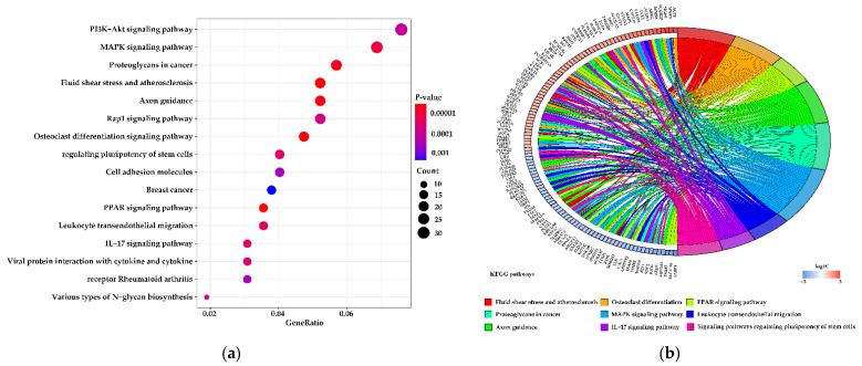 https://cdn.ncbi.nlm.nih.gov/pmc/blobs/c414/8235497/7efbfb0f65df/genes-12-00942-g005a.jpg