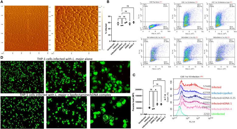 https://cdn.ncbi.nlm.nih.gov/pmc/blobs/c414/9667060/ddfb2a0cd25f/fimmu-13-1007070-g001.jpg