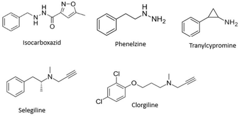 https://cdn.ncbi.nlm.nih.gov/pmc/blobs/c415/11433870/5ee17b18e655/molecules-29-04338-g001.jpg