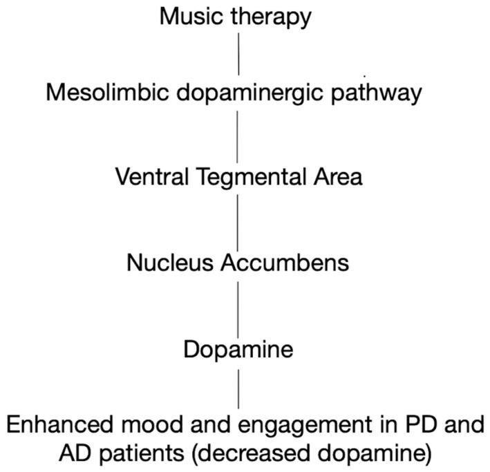 https://cdn.ncbi.nlm.nih.gov/pmc/blobs/c415/12196375/430d945232f9/neurosci-06-00051-g001.jpg
