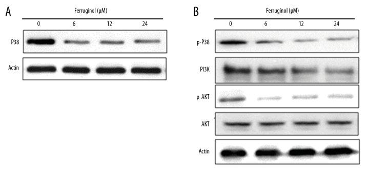 https://cdn.ncbi.nlm.nih.gov/pmc/blobs/c416/6492615/d93a1e4a9b66/medscimonit-25-2935-g008.jpg