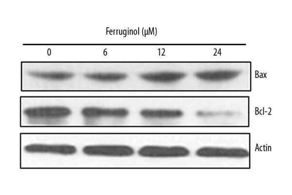 https://cdn.ncbi.nlm.nih.gov/pmc/blobs/c416/6492615/eae8fc85db59/medscimonit-25-2935-g005.jpg