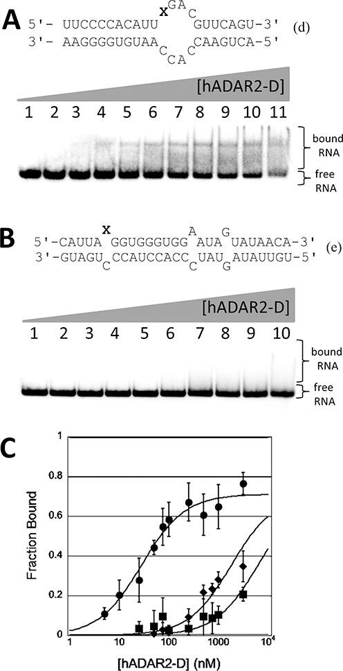 https://cdn.ncbi.nlm.nih.gov/pmc/blobs/c41a/4333395/1b3754253f01/gku1345fig4.jpg