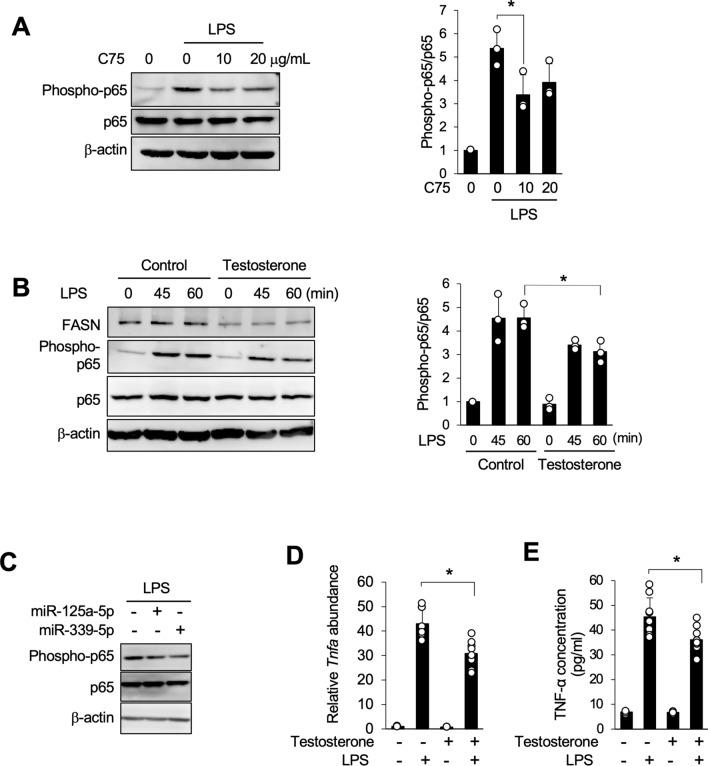 https://cdn.ncbi.nlm.nih.gov/pmc/blobs/c41b/11792555/de8abea77e49/13293_2025_686_Fig4_HTML.jpg