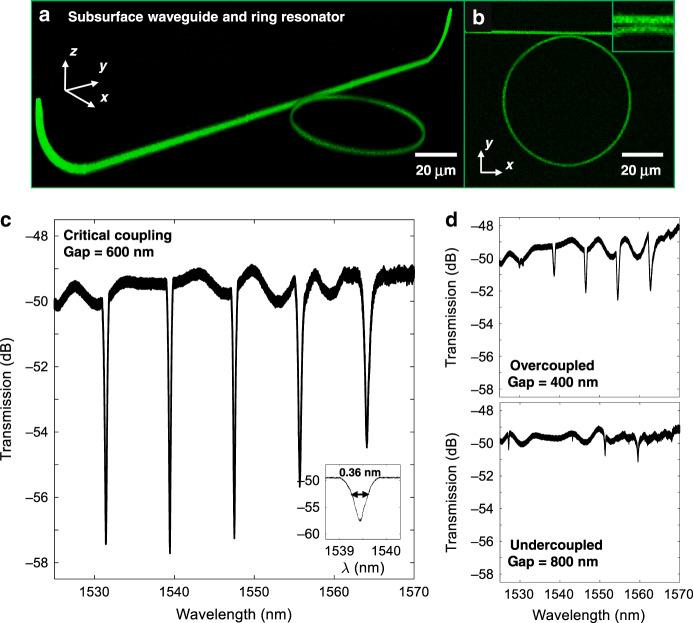 https://cdn.ncbi.nlm.nih.gov/pmc/blobs/c41b/7713360/253ec26a42e6/41377_2020_431_Fig7_HTML.jpg