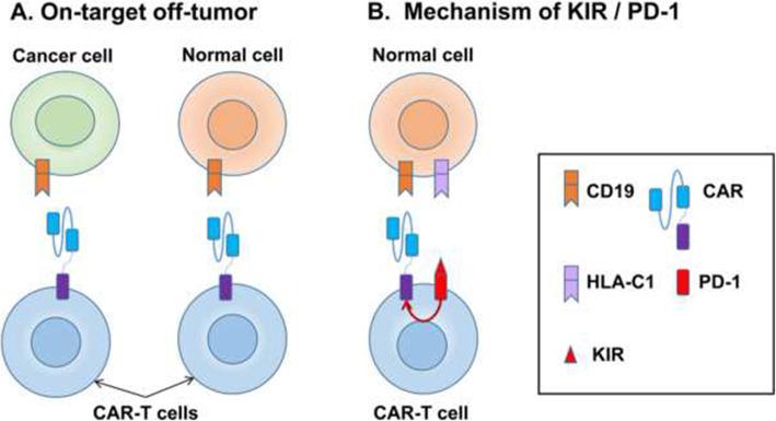 https://cdn.ncbi.nlm.nih.gov/pmc/blobs/c41b/8278776/cb63c18446a0/40364_2021_309_Fig3_HTML.jpg