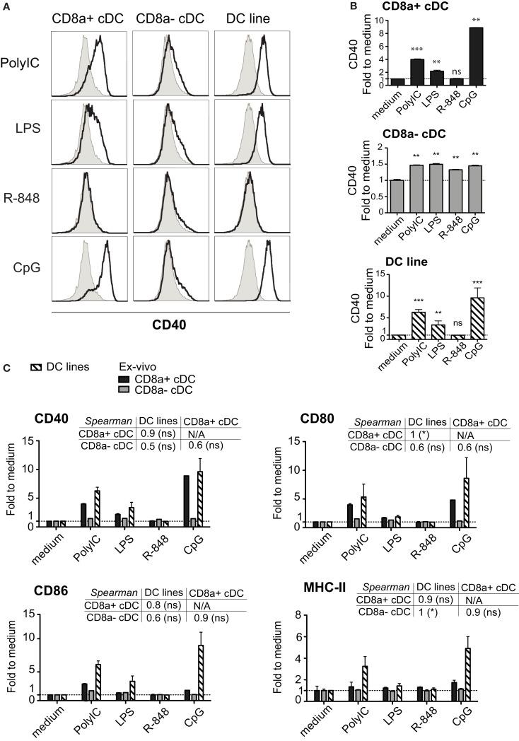 https://cdn.ncbi.nlm.nih.gov/pmc/blobs/c41e/3491238/3ed652137bc0/fimmu-03-00331-g006.jpg