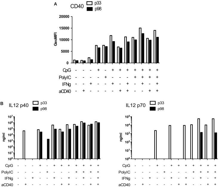 https://cdn.ncbi.nlm.nih.gov/pmc/blobs/c41e/3491238/56a1750ed465/fimmu-03-00331-a006.jpg