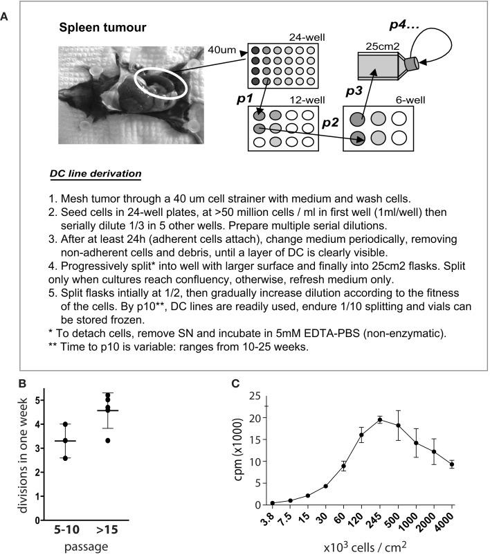 https://cdn.ncbi.nlm.nih.gov/pmc/blobs/c41e/3491238/dcf3e7b16ed5/fimmu-03-00331-g001.jpg