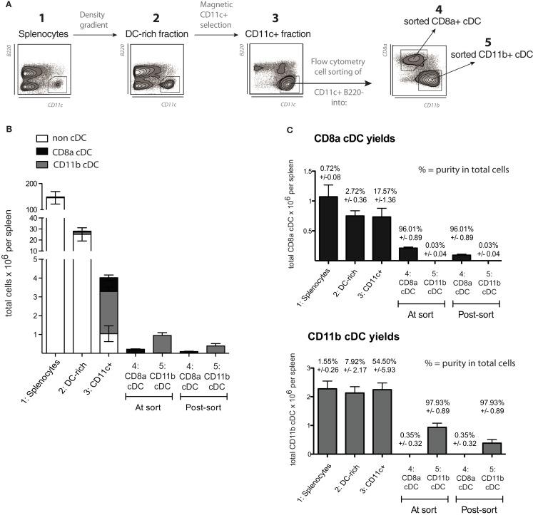 https://cdn.ncbi.nlm.nih.gov/pmc/blobs/c41e/3491238/dd16cdb46316/fimmu-03-00331-g003.jpg