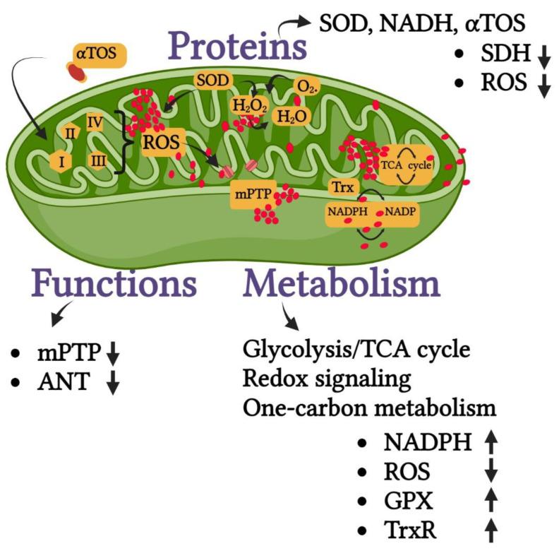 https://cdn.ncbi.nlm.nih.gov/pmc/blobs/c421/9699542/1528796ef3fb/pharmaceutics-14-02275-g006.jpg