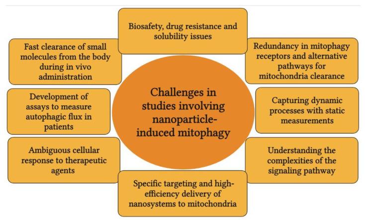 https://cdn.ncbi.nlm.nih.gov/pmc/blobs/c421/9699542/91a2568275b4/pharmaceutics-14-02275-g005.jpg