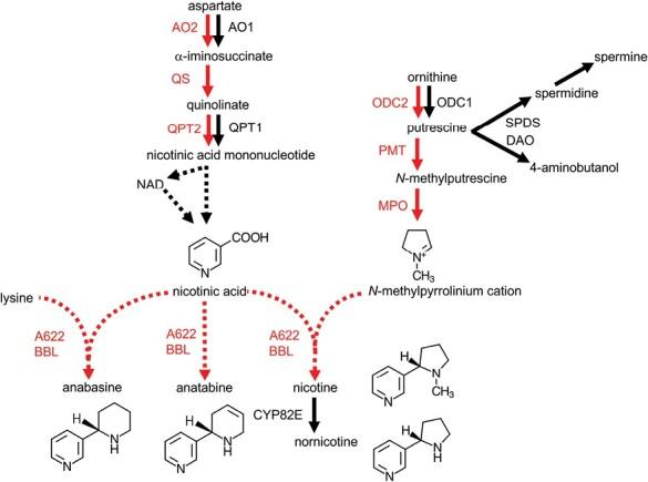 https://cdn.ncbi.nlm.nih.gov/pmc/blobs/c428/10938045/147b489294e1/erad341_fig1.jpg