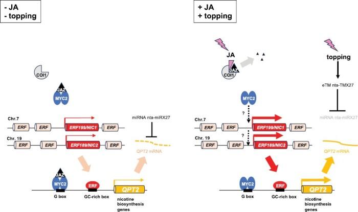 https://cdn.ncbi.nlm.nih.gov/pmc/blobs/c428/10938045/f5508878500a/erad341_fig2.jpg
