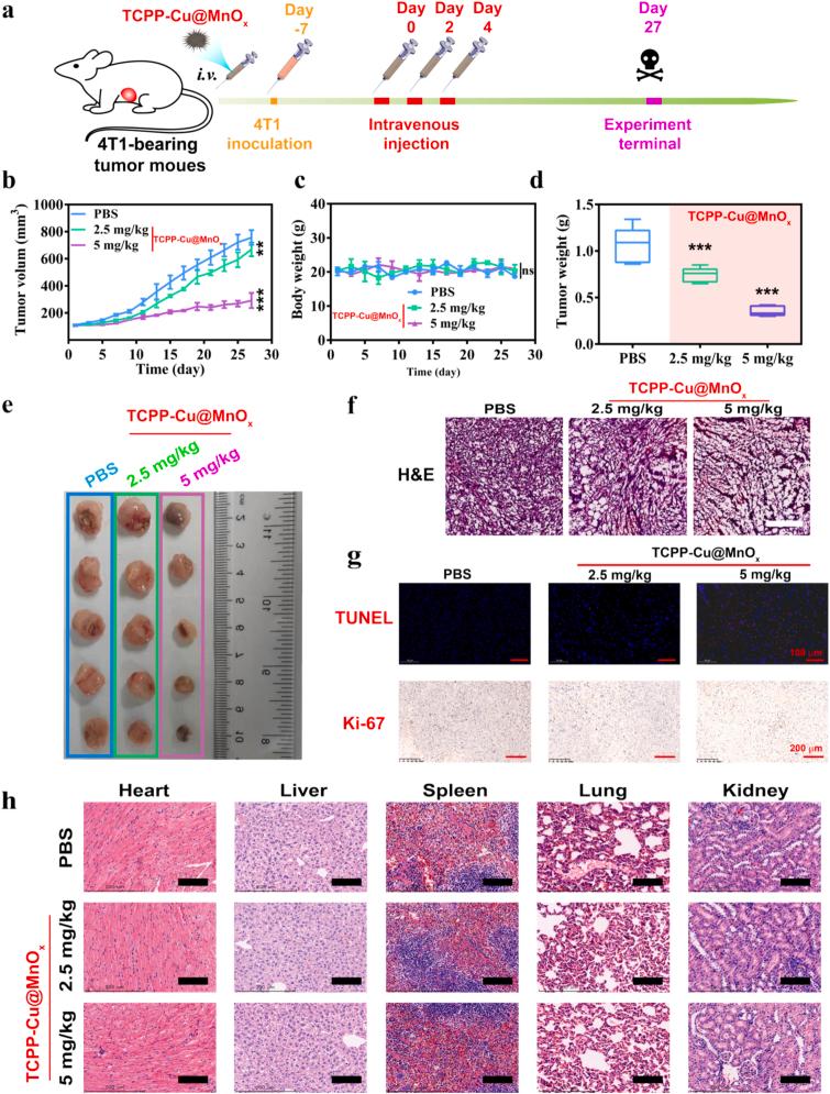 https://cdn.ncbi.nlm.nih.gov/pmc/blobs/c429/11530759/1db83e51bd3c/gr7.jpg