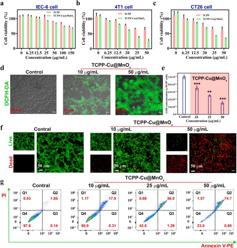 https://cdn.ncbi.nlm.nih.gov/pmc/blobs/c429/11530759/1fd7048a01ac/gr6.jpg