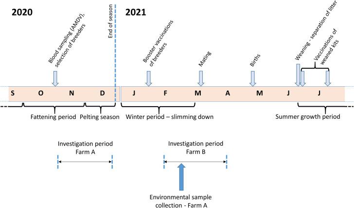 https://cdn.ncbi.nlm.nih.gov/pmc/blobs/c429/8448373/625ebb0768bc/ppat.1009883.g001.jpg