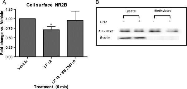https://cdn.ncbi.nlm.nih.gov/pmc/blobs/c42b/3661375/20191921c433/1756-6606-6-24-5.jpg