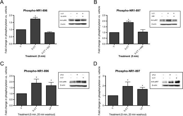 https://cdn.ncbi.nlm.nih.gov/pmc/blobs/c42b/3661375/2e287414d7ef/1756-6606-6-24-2.jpg
