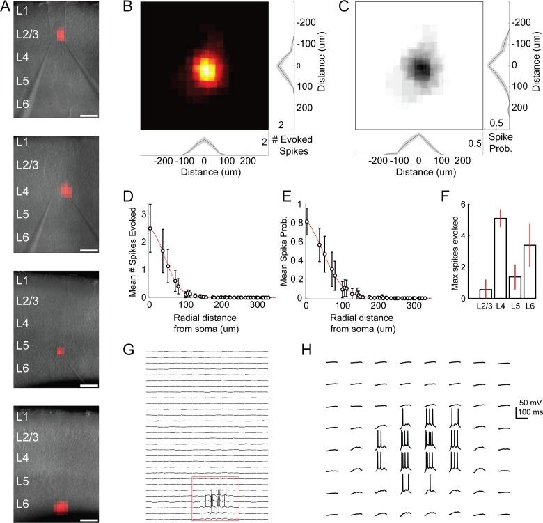 https://cdn.ncbi.nlm.nih.gov/pmc/blobs/c42b/6422636/6564bb47fc9b/elife-43696-fig1-figsupp4.jpg
