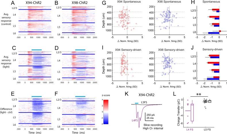 https://cdn.ncbi.nlm.nih.gov/pmc/blobs/c42b/6422636/da5335a0c595/elife-43696-fig6-figsupp2.jpg