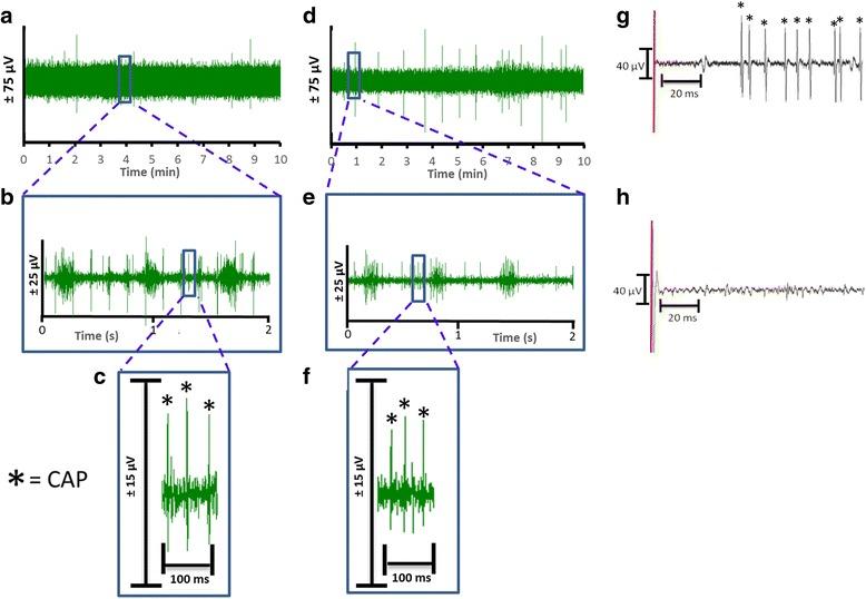 https://cdn.ncbi.nlm.nih.gov/pmc/blobs/c42d/7098227/e9099ba76499/42234_2018_2_Fig2_HTML.jpg