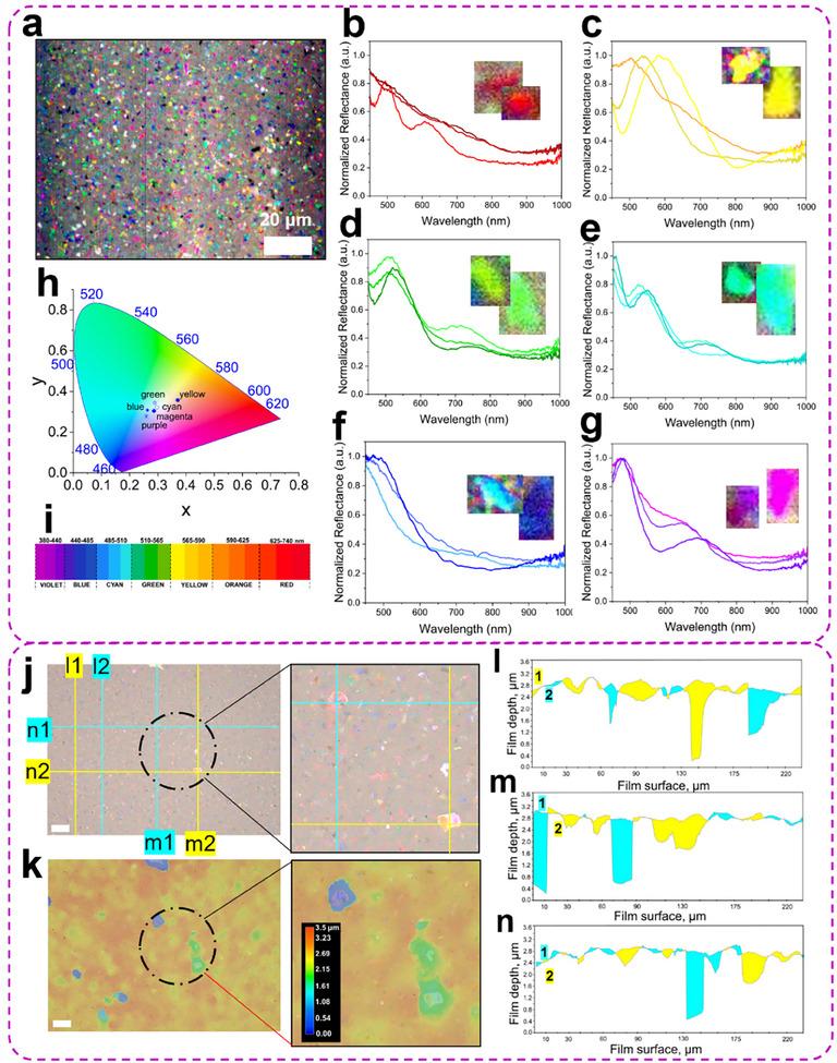 https://cdn.ncbi.nlm.nih.gov/pmc/blobs/c42e/12199417/71c80991e2ea/ADVS-12-2500953-g004.jpg