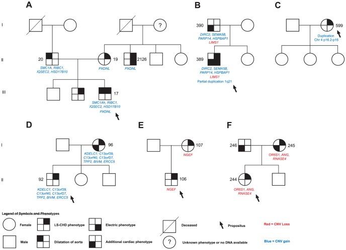 https://cdn.ncbi.nlm.nih.gov/pmc/blobs/c42e/3435243/267488db0fd9/pgen.1002903.g003.jpg