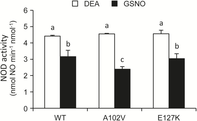 https://cdn.ncbi.nlm.nih.gov/pmc/blobs/c432/5014168/661e35538892/exbotj_erw290_f0005.jpg