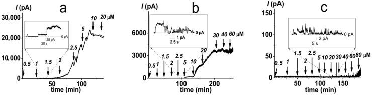 https://cdn.ncbi.nlm.nih.gov/pmc/blobs/c432/9598075/2405868b6514/antibiotics-11-01445-g004.jpg