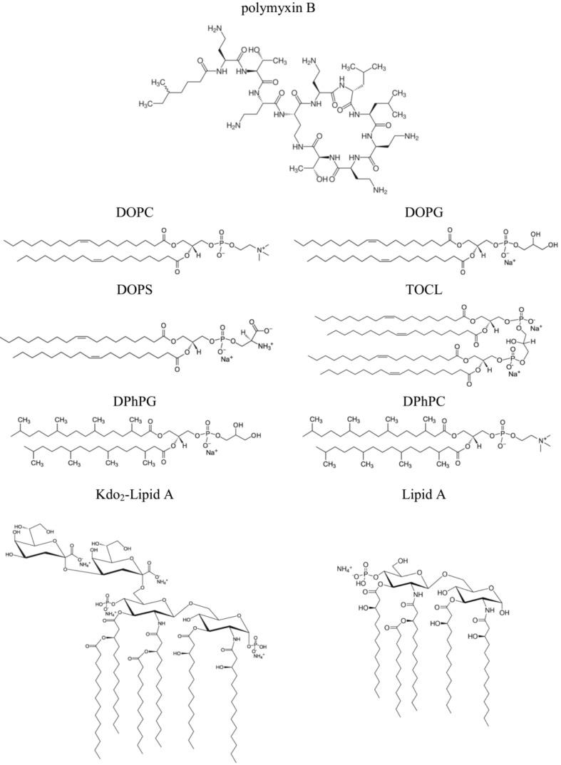 https://cdn.ncbi.nlm.nih.gov/pmc/blobs/c432/9598075/2aa73d1788b1/antibiotics-11-01445-g001.jpg