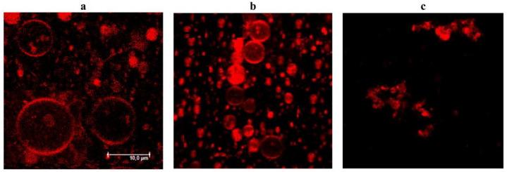 https://cdn.ncbi.nlm.nih.gov/pmc/blobs/c432/9598075/6b8d6e712850/antibiotics-11-01445-g007.jpg