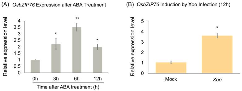 https://cdn.ncbi.nlm.nih.gov/pmc/blobs/c433/12249981/eed108ec869e/ijms-26-06374-g001.jpg