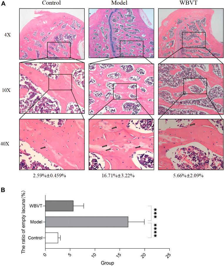 https://cdn.ncbi.nlm.nih.gov/pmc/blobs/c438/10590907/1a3940245902/fcell-11-1251634-g003.jpg