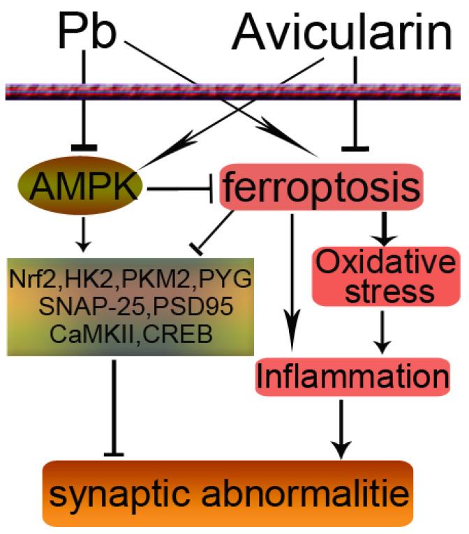 https://cdn.ncbi.nlm.nih.gov/pmc/blobs/c439/11352125/508255040d06/antioxidants-13-01024-g008.jpg