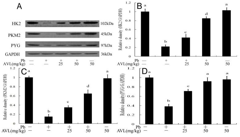 https://cdn.ncbi.nlm.nih.gov/pmc/blobs/c439/11352125/b0e387f3a697/antioxidants-13-01024-g004.jpg