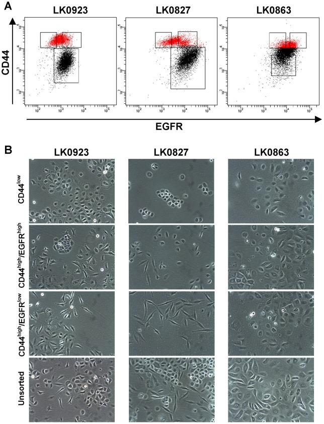 https://cdn.ncbi.nlm.nih.gov/pmc/blobs/c43b/3458050/93650a7445e4/pone.0044071.g001.jpg